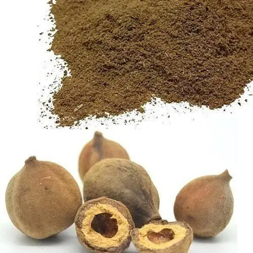 টার্মিনালিয়া-বেলিরিকা-1.webp