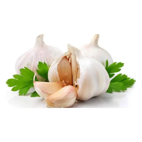 রসুন-1.webp